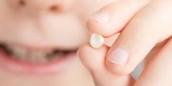 ratoncito pérez ratoncito pérez