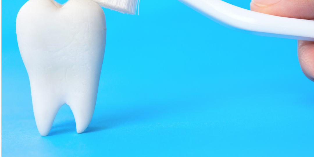 Injerto de encía cuándo lo necesitas y en qué consiste (4) Higiene dental